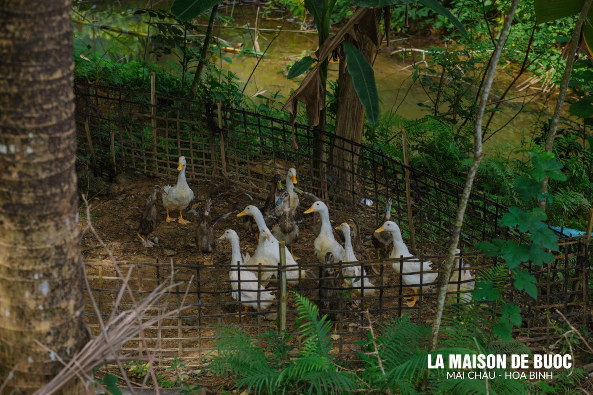 La Maison De Buoc Mai Chau